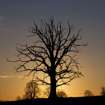 Warwickshire winter dawn