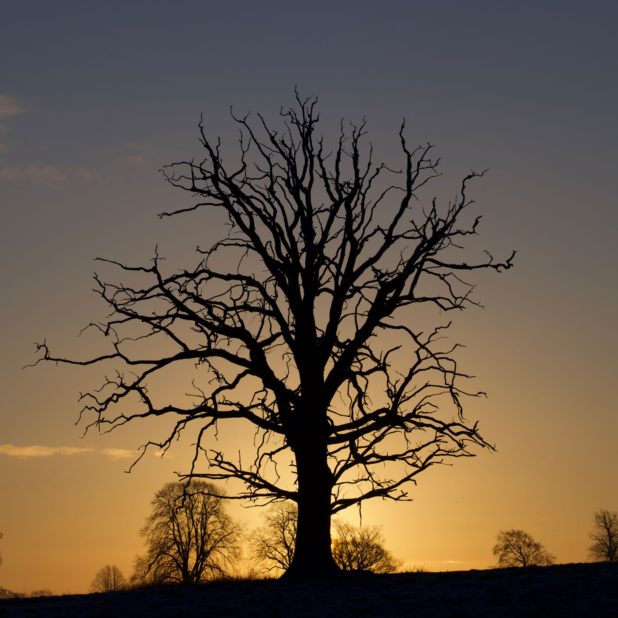 Warwickshire winter dawn