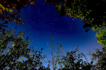 Hoping to see the International Space Station passing overhead, but I failed. I like the photo though!