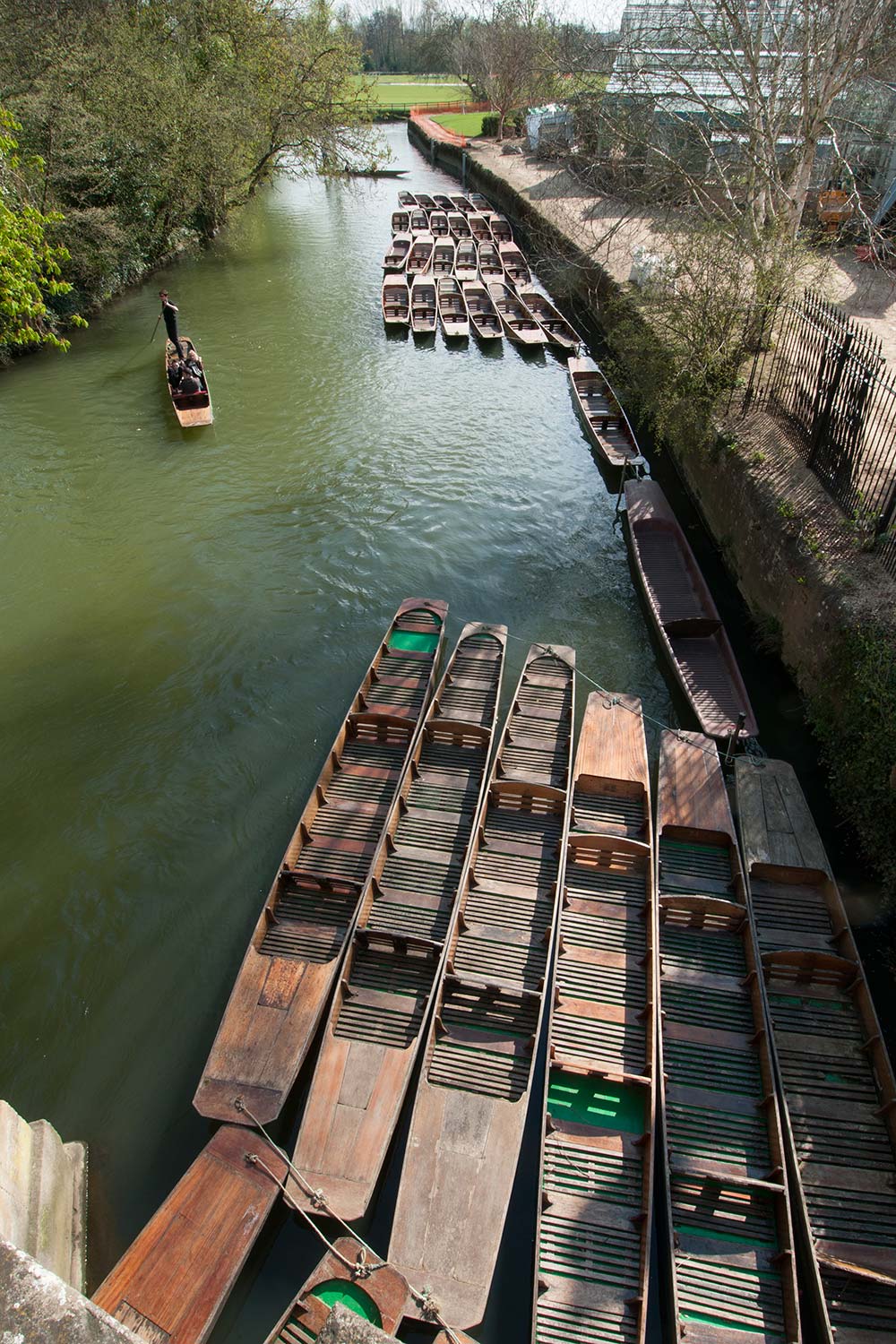 Punts on the River Cherwell, Oxford