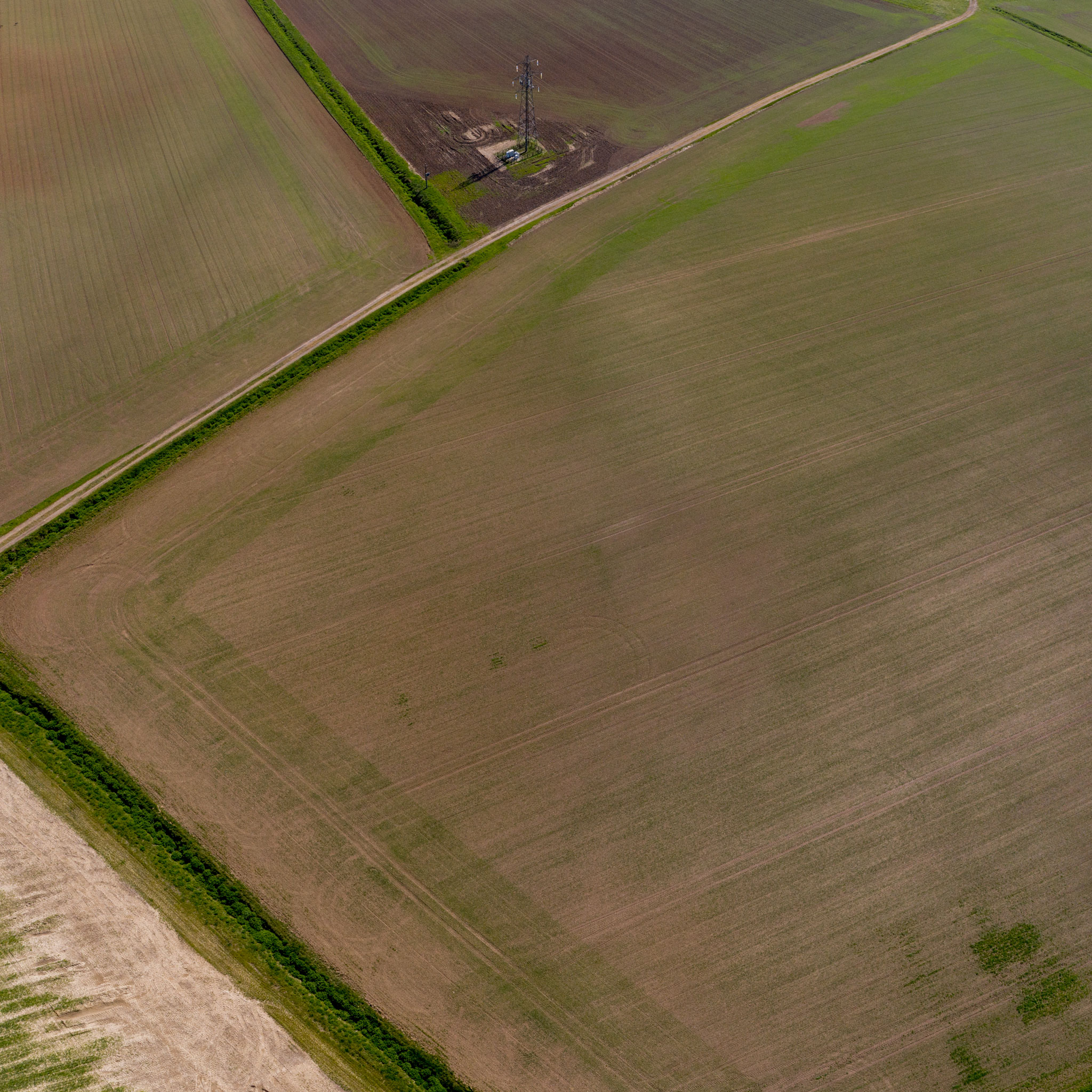 Agricultural land, Winnersh, Berkshire.